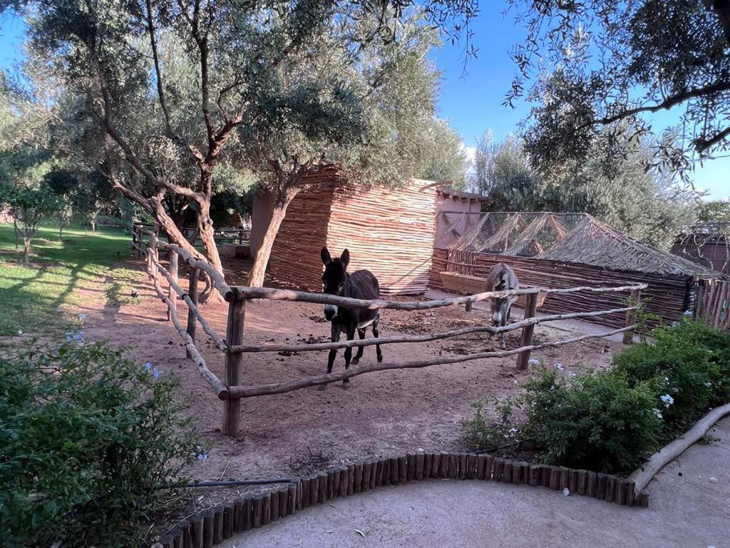 マラケシュ Jardin Sakina - Centre De Bien-Etre & Soins Holistiques - Chambre D'Hotes Bed & Breakfast エクステリア 写真