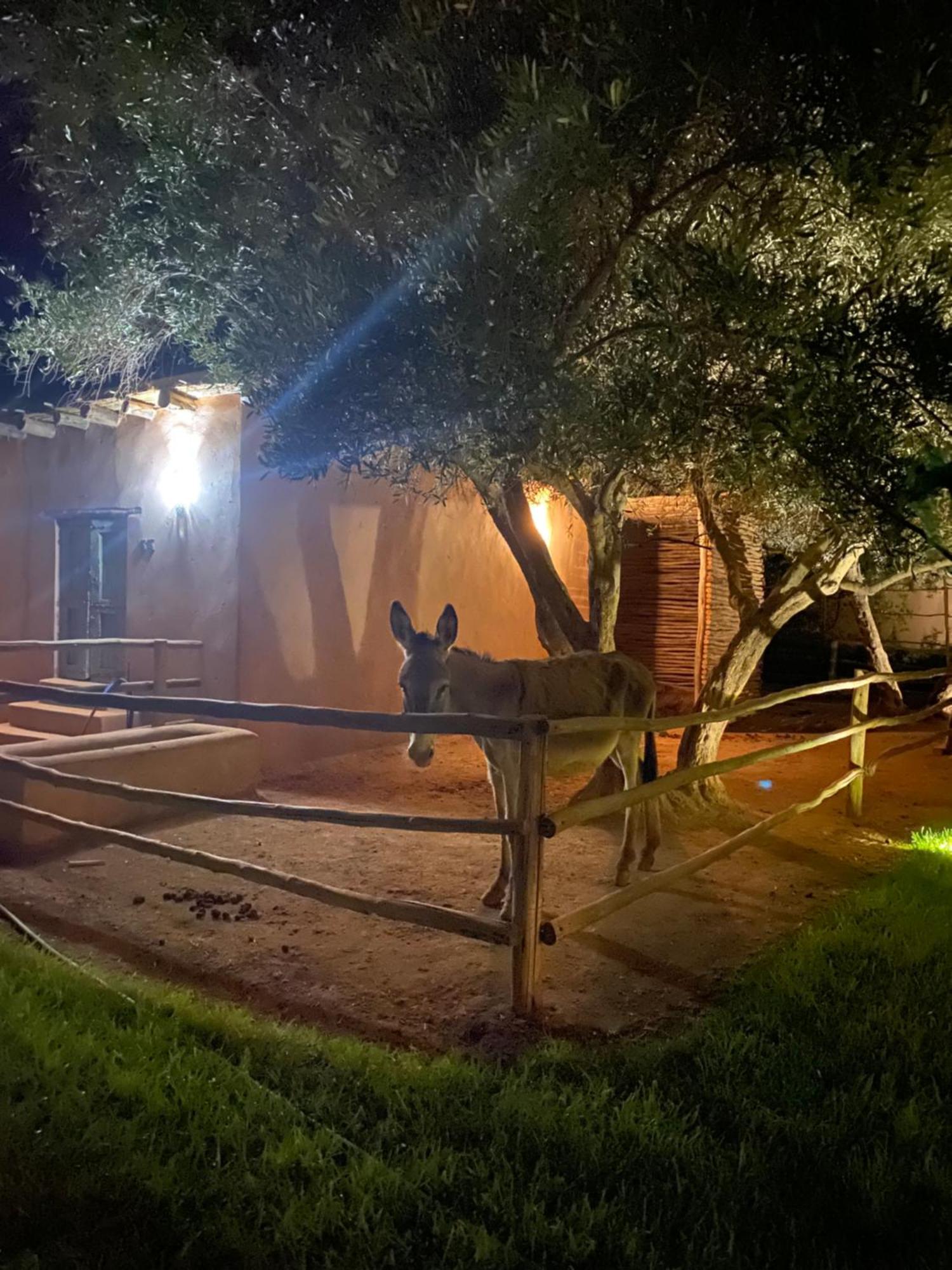 Jardin Sakina - Chambre D'Hotes Oulad Moumene エクステリア 写真